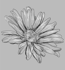 Vector grey flower 3
