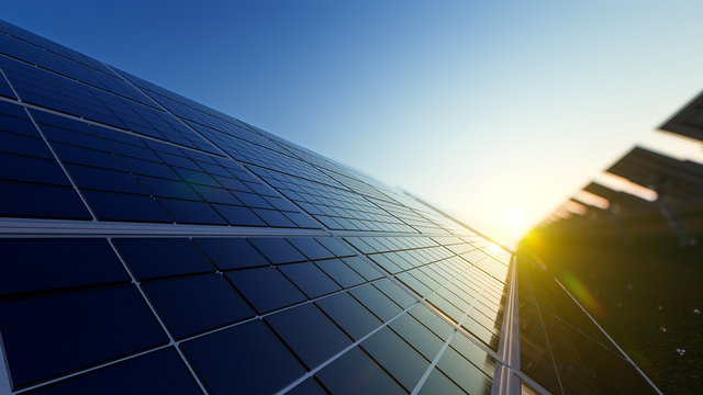 Closeup of Solar Panels in a Row on a Sunny Day