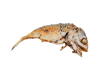 Fried Mackerel isolate