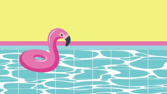flamingo float in the pool summer time animation