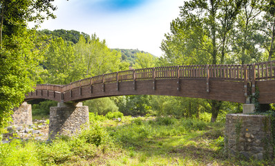 Fototapeta na wymiar Wooden bridge in forest of Spain