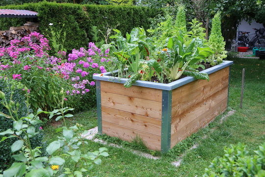 Hochbeete bauen, Biologischer Gemüseanbau, Gemüsehochbeet in einem privaten Vorgarten