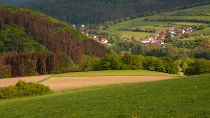 Fototapeta na wymiar Blick auf's Dorf