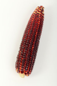 fresh purple corn isolated on white