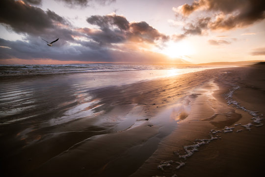 Beach Sunset Fly By