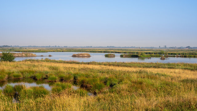 Feriengebiet Ostfriesland, Naturschutzgebiet Holte Gaste