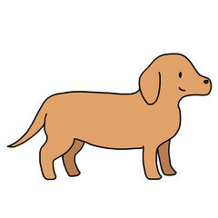 ダックスフント