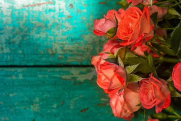 Pink roses on vintage wooden blue background.