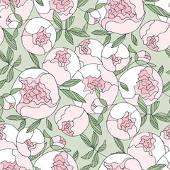 Tender line peony flower seamless pattern.