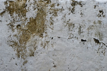 wall background texture