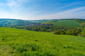 Fototapeta na wymiar Panorama of a meadow with green grass and trees
