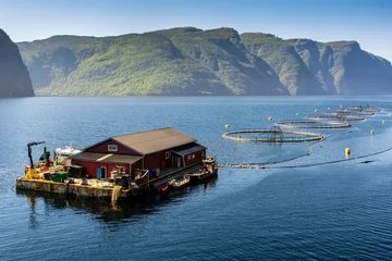 Fotobehang Norwegian fish farm © Tania Zbrodko