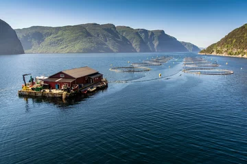 Rolgordijnen Norwegian fish farm © Tania Zbrodko