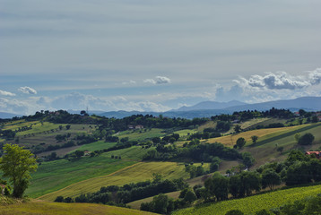 Fototapeta na wymiar Paesaggio rurale marchigiano