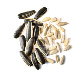 Sun flower seeds on white background
