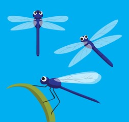 Cute Dragonfly Poses Cartoon Vector Illustration