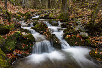Fototapeta na wymiar Waterfall in the forest. Autumn in the forest. Waterfall in the rock.