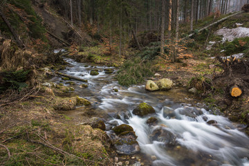 Olczyski stream in Tatra mountains, Malopolskie, Poland