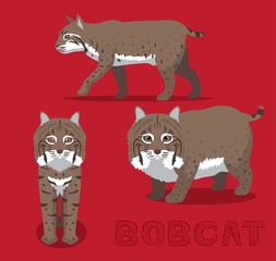 Bobcat Cartoon Vector Illustration