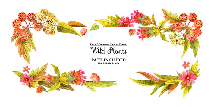 Yellow wild plants head banner