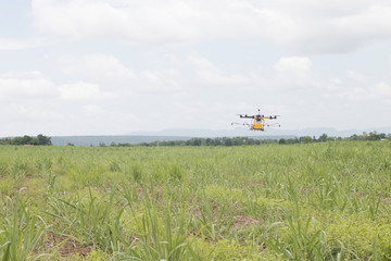 Fototapeta na wymiar agriculture drone sprayer for smart farm