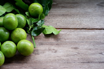 lime on old wooden