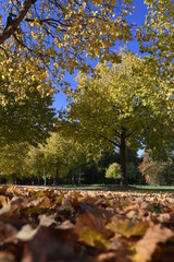 Schloss Solitude, Stuttgart, Baden-Württemberg
