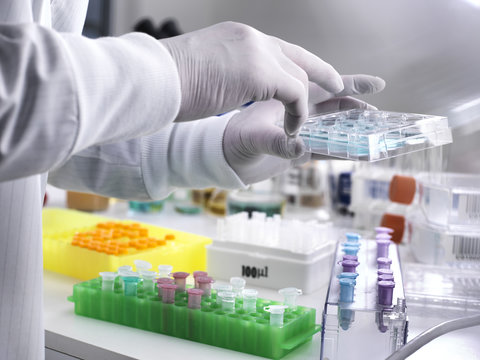 Biotechnology Research, Scientist viewing specimens in a multi well plate during an experiment in the laboratory