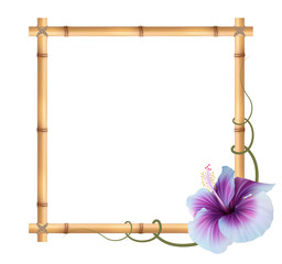 Realistic bamboo frame with violet hibiscus flower.