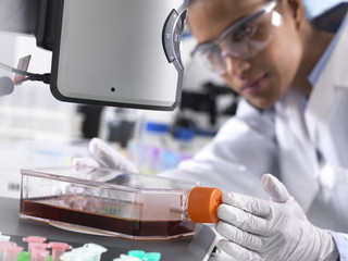 Biomedical Research, female scientist viewing stem cells developing in a culture jar during an experiment in the laboratory