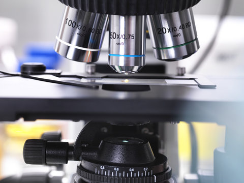 Biomedical Research, close-up of a glass slide holding a specimen of human tissue, microscope