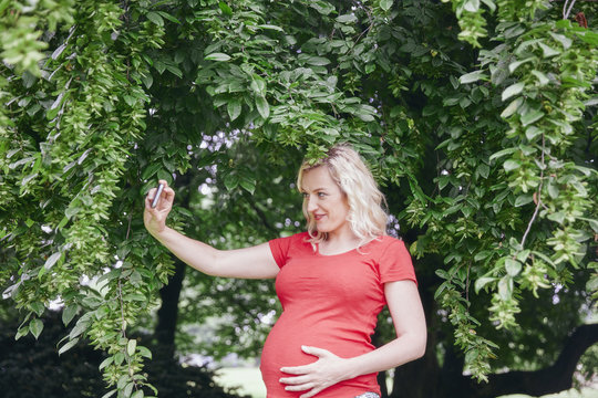 Pregnant woman taking a selfie at a tree