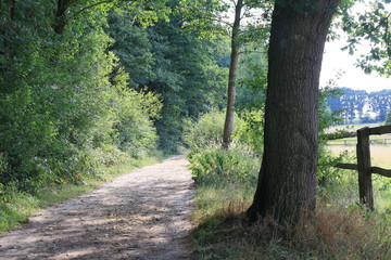 Sommer in Ritterhude im Heerweger Moor