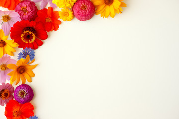Garden flowers on a white background. Summer flowers decorate the corner of the white background. View from above. There is room for text.