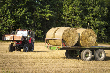 Obraz premium Agricultural machinery a tractor removes hay bales from the field after harvesting wheat. Harvest on the field. Harvesting of cereals. Agriculture.
