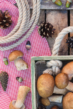 Raw white mushrooms, pine cones and decorations