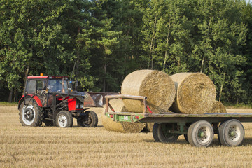 The tractor loads bales of hay onto the trailer. Agricultural machinery on the field after harvesting grain crops