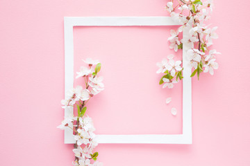 Fresh branches of cherry white blossoms on pastel pink background. Soft light color. Mockup for special offers as advertising or other ideas. Empty place for sentimental, inspirational text or quote.