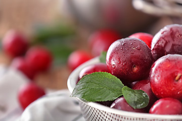 Strainer with ripe juicy plums, closeup