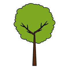 tree plant nature icon