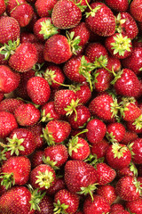.Strawberry. Fresh organic berries macro. background from freshly harvested strawberries