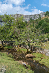 View of the countryside around Malham Cove in the Yorkshire Dales National Park