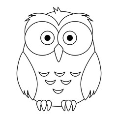 cute and adorable owl character