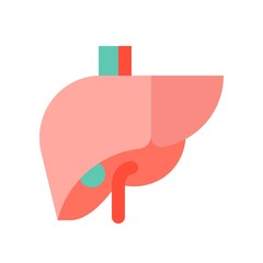 Liver, medical and hospital related flat design icon set