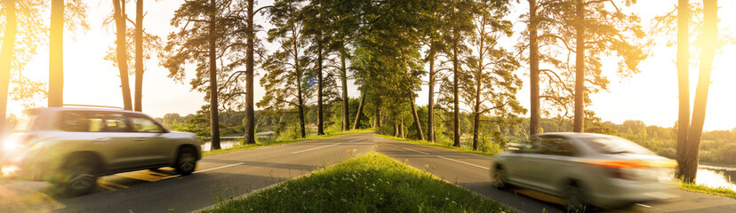 Obraz premium The road in the pine forest, the rays of the sun through the trees, the machine in motion, the blur