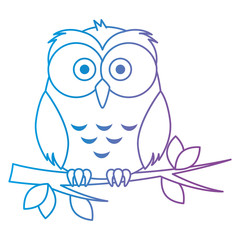 cute and adorable owl character
