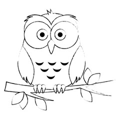 cute and adorable owl character