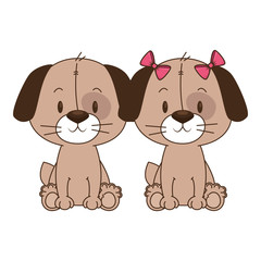 cute and adorable couple dog characters