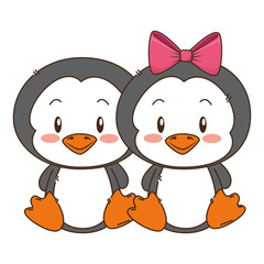cute and adorable couple penguins characters