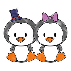 cute and adorable couple penguins characters